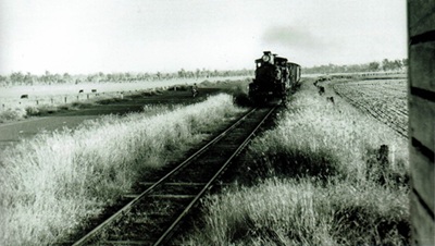 view-from-hillside-railway-station-1964